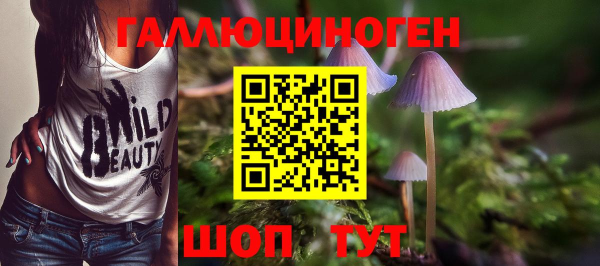 Галлюциногенные грибы Magic Shrooms  Галлюциногенные грибы мухоморы  Вход с VPN  Сызрань 